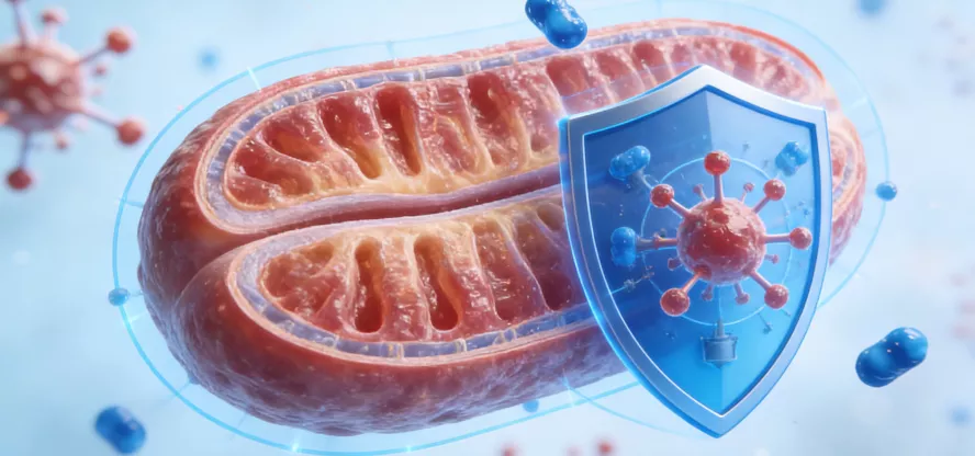 Protection of mitochondrial integrity